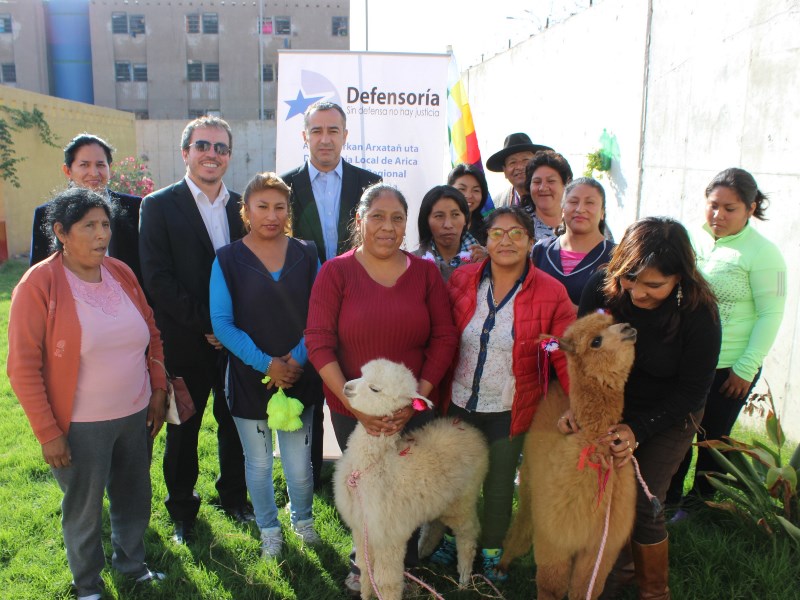 Defensoría de Arica celebró el Machaq Mara