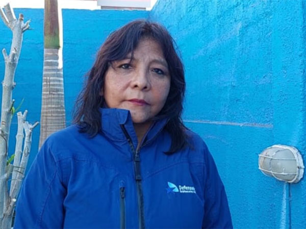 Inés Flores, facilitadora intercultural de la Defensoría Regional de Arica y Parinacota.