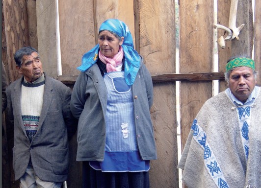 La defensa penal pública especializada se inició en la DPP en 2003, para imputados mapuche en Temuco.