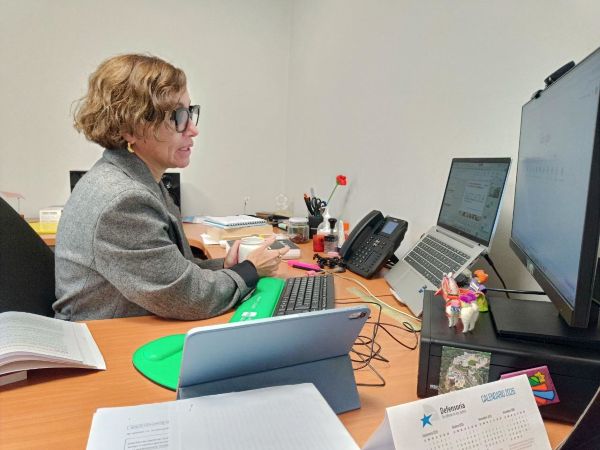 Un momento de la capacitaci&oacute;n por v&iacute;a remota de la jefa regional de Estudios, Yasna Rojas.