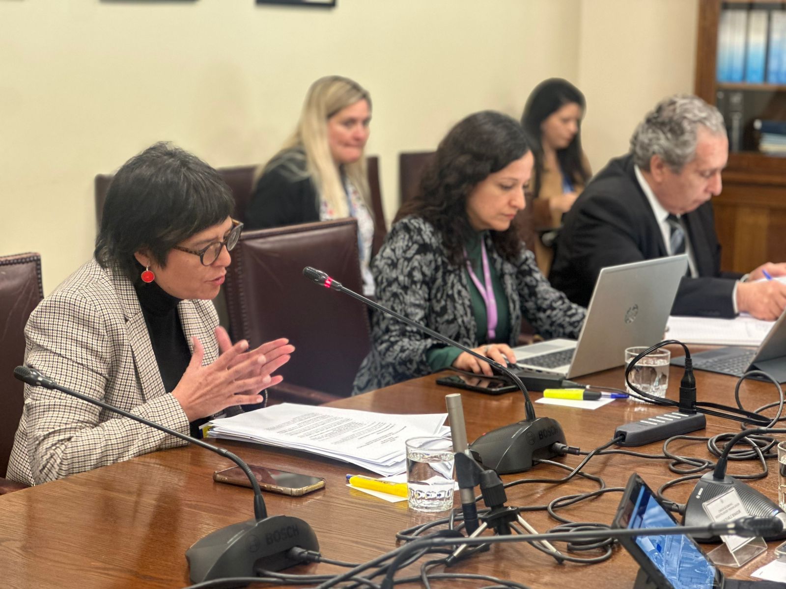 La Defensora Nacional, Ver&oacute;nica Encina Vera, durante su exposici&oacute;n ante la comisi&oacute;n.