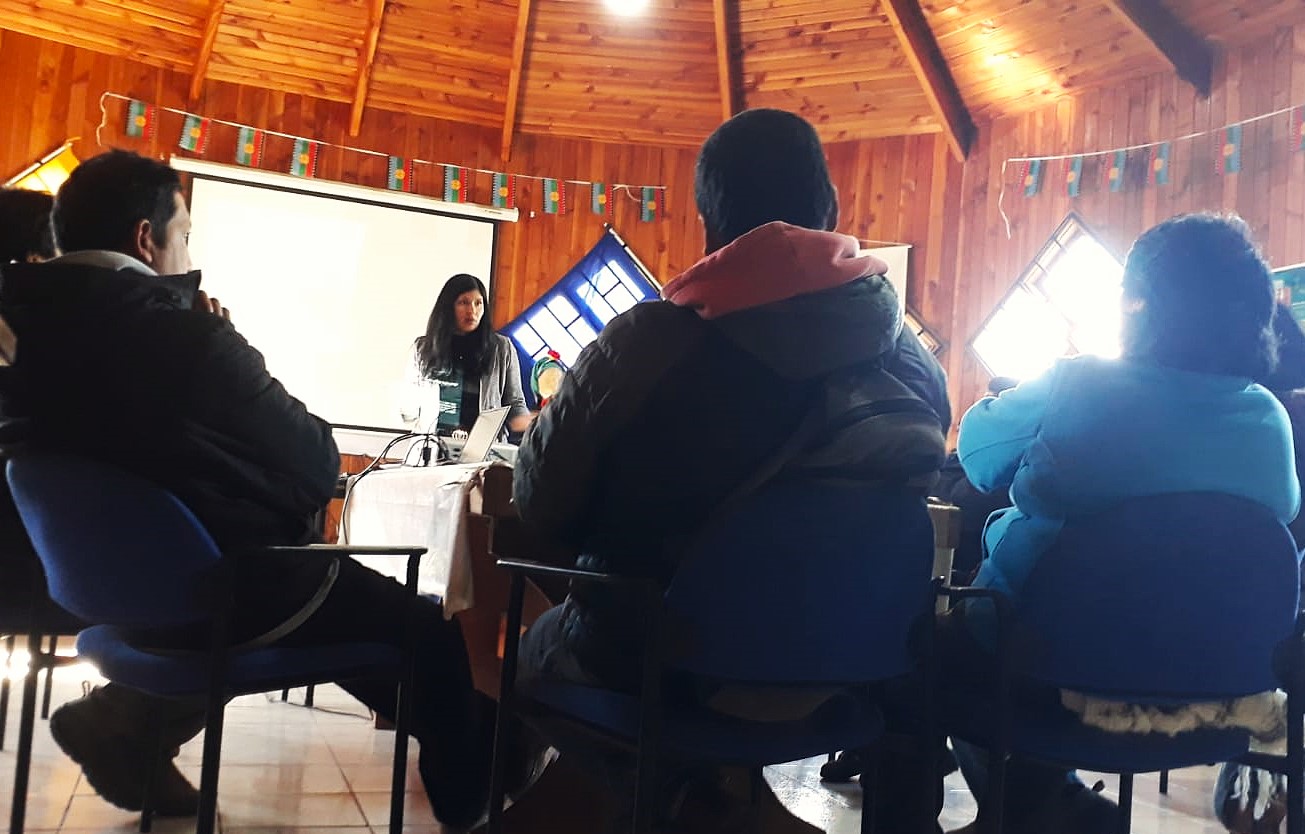 El facilitador intercultural Gerardo Rodríguez Loncomilla realizó parte de su exposición en mapudungun y utilizó una presentación bilingüe.