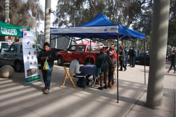 Profesionales de la Defensoría Regional de Atacama atienden consultas en el Parque Schneider de Copiapó.