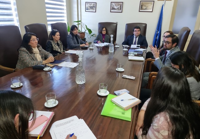 La jefa de Estudios de la Defensoría de Ñuble participó junto al Poder Judicial y la Fiscalía en esta mesa interinstitucional.