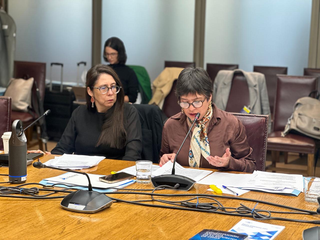 Defensora Nacional advierte riesgos de modificar el sistema penal adolescente antes de evaluar la nueva institucionalidad de reinserción juvenil