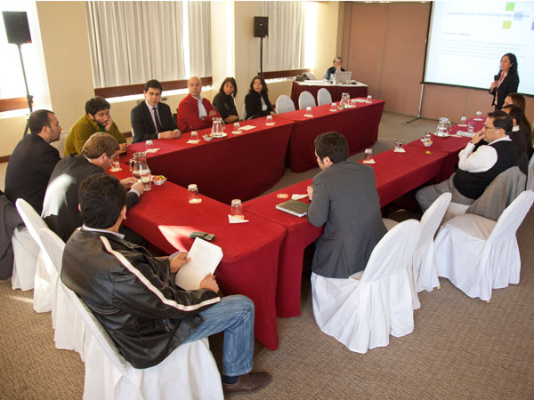 Diez defensores penales públicos de distintas regiones asistieron al III Taller de Vocería de 2012 en Santiago.