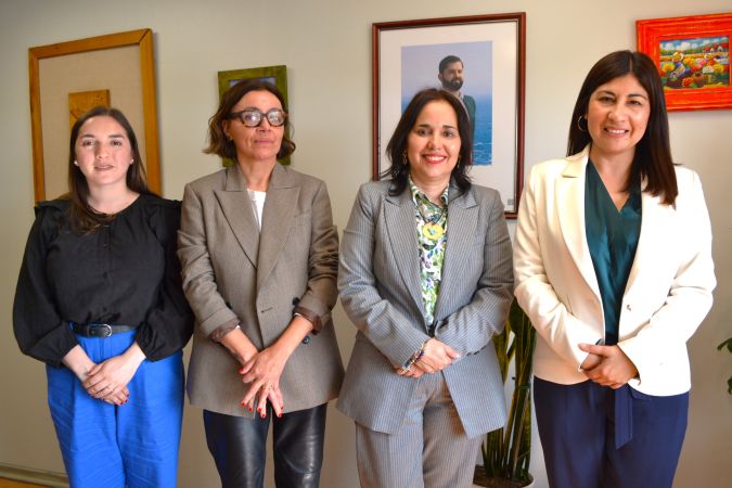 Las jefas regionales de ambos servicios y las profesionales que participaron en la reuni&oacute;n.