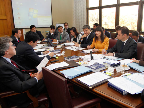 La Defensora Nacional (S), Viviana Castel, expuso ante la comisión acompañada por una delegación institucional.