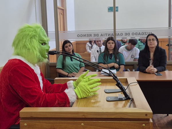 La 'defensa p&uacute;blica' logr&oacute; la salida alternativa del Grinch, tras robarse los regalos de los ni&ntilde;os de Rengo.