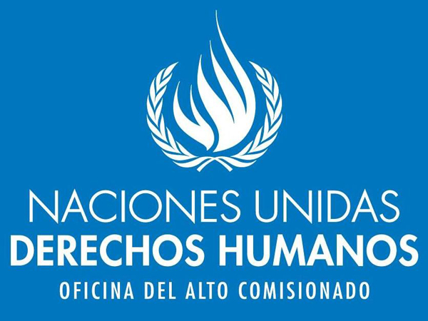 En el encuentro particip&oacute; el jefe de Estudios de la Defensor&iacute;a Regional de La Araucan&iacute;a.