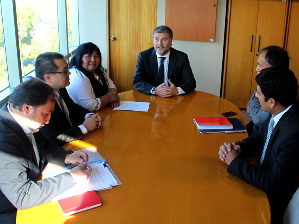 El Defensor Nacional junto a la diputada huilliche Emilia Nuyado (a su derecha) y sus asesores.