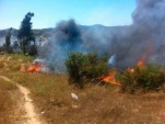 El incendio, ocurrido el pasado 12 de diciembre, afectó a 20 hectáreas de pastizales situados en la zona sur de Villa Alemana