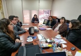 Defensoría en Ñuble se integra a la "Mesa Intersectorial Migrantes"