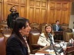 Viviana Castel durante su exposición ante la Comisión de Constitución, Legislación, Justicia y Reglamento del Senado.